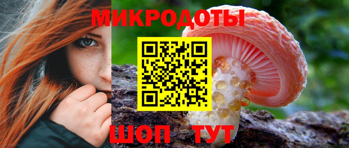 Галлюциногенные грибы Psilocybe  Вход с VPN  Нерюнгри 